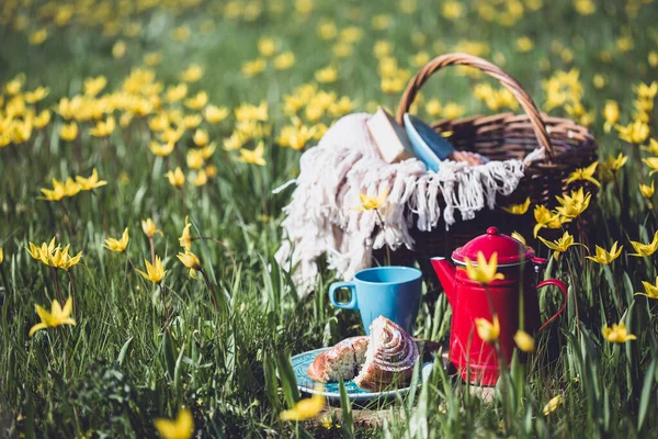 Frühlingspicknick Auf Der Wiese Stillleben Zimtbrötchen Tasse Tee Und Korb — Stockfoto