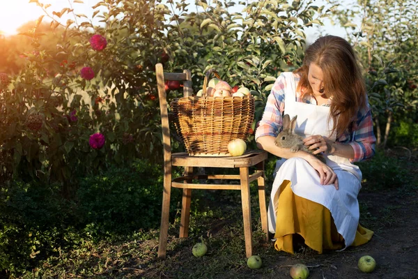happy girl in the garden holds a rabbit in her arms and a basket of apples nearby. aesthetics of rural lif