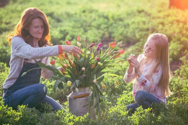 女の子は夕日を背景に庭にチューリップの花束を収集します 春とガーデニン — ストック写真