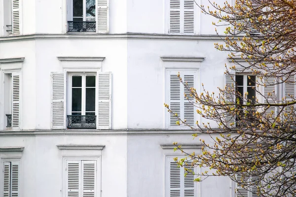 Paryż Biała Fasada Pięknego Domu Gałąź Drzewa Pierwszym Planie — Zdjęcie stockowe