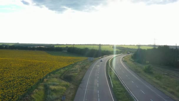 Estrada Rodoviária Campo Girassol Iluminado Pelas Vigas Pôr Sol Vista — Vídeo de Stock