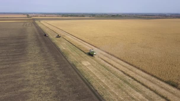 ドニプロ ウクライナ 9月14 2019 フィールド空中映像でトウモロコシを収穫するマシンを組み合わせる — ストック動画