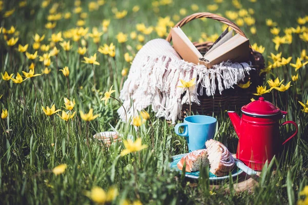 Jarní Piknik Louce Zátiší Skořicová Houska Šálek Čaje Koš Pozadí — Stock fotografie