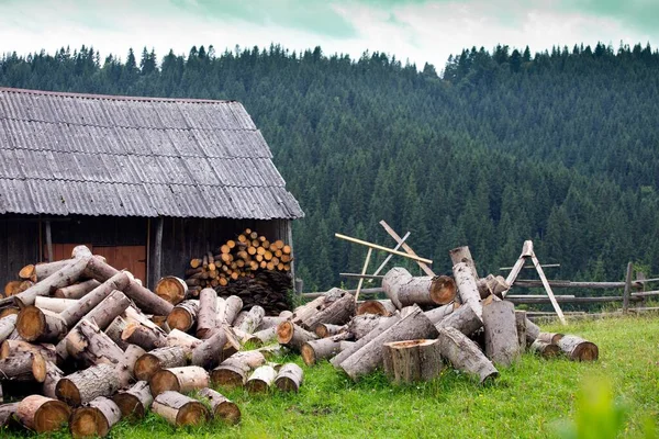 喀尔巴阡山 前景中的房屋和木柴 — 图库照片