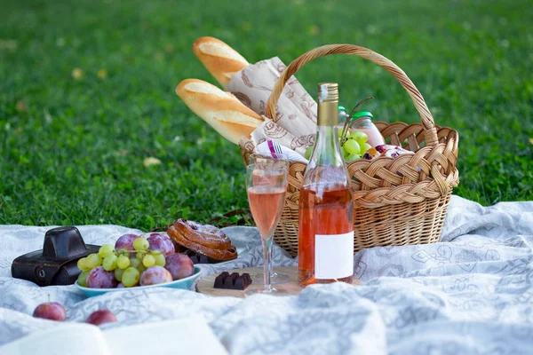 在草地上野餐 法式面包 葡萄酒 葡萄和卷在一个篮子上的绿色肝 — 图库照片