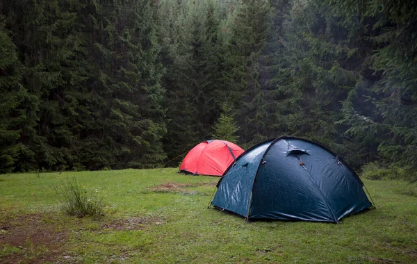 两个帐篷矗立在森林的草地上 — 图库照片