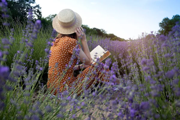 Provence Dívka Čtení Knihy Levandulovém Poli Košík Levandulí Popředí — Stock fotografie