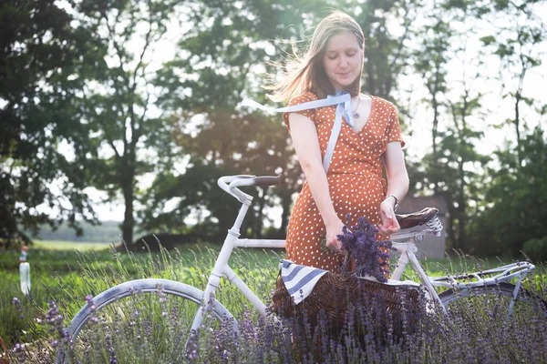 Provence Menina Com Uma Bicicleta Retro Uma Cesta Lavanda Uma — Fotografia de Stock