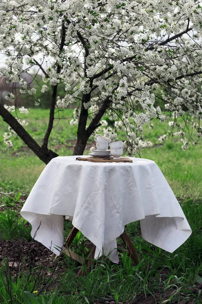 Stahlleben Frühstück Frühlingsgarten Tisch Mit Weißer Tischdecke Für Teetrinker — Stockfoto