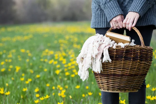 Piquenique Primavera Prado Menina Segura Cesta Para Piquenique Fundo Belas — Fotografia de Stock