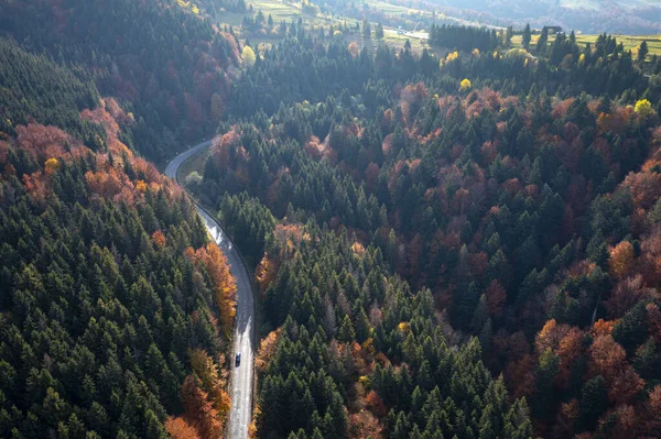 Aerial View Mountain Road Leading Green Hills Mountains Covered Pines — Stock Photo, Image