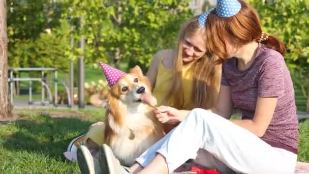 Mutter Und Tochter Geben Corgi Hundegeburtstag Auf Einer Sonnigen Parkwiese — Stockvideo