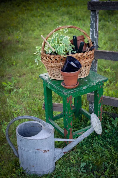 Flowers Clay Pots Tools Basket Planting Plants Garde — Stock fotografie