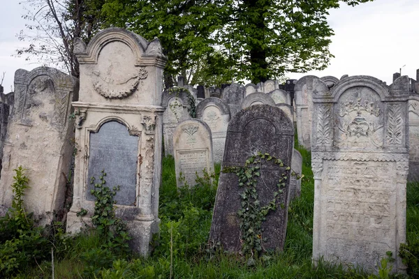 Chernivtsi Ukrajina Duben 2022 Starý Židovský Hřbitov Městě Černovice Ukrain — Stock fotografie
