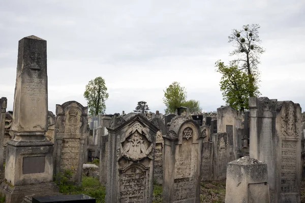 Chernivtsi Ukraine April 2022 Old Jewish Cemetery City Chernivtsi Ukrain — Stock fotografie