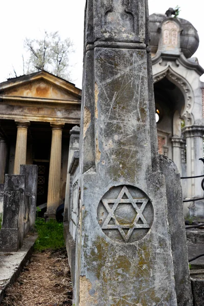 Chernivtsi Ukraine April 2022 Old Jewish Cemetery City Chernivtsi Ukrain — Stock fotografie
