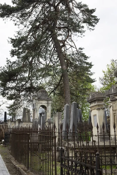 Chernivtsi Ukraine April 2022 Old Jewish Cemetery City Chernivtsi Ukrain — Stock fotografie