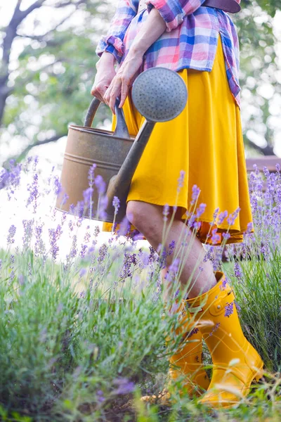 Girl Watering Can Backdrop Garden Lavender Bushe — Stock fotografie