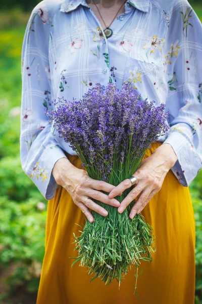 Girl Holding Bouquet Lavende — Fotografia de Stock