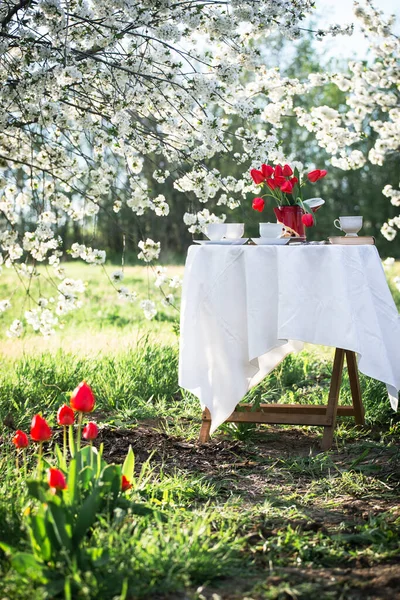 Vie Acier Petit Déjeuner Dans Jardin Printemps Table Avec Nappe — Photo