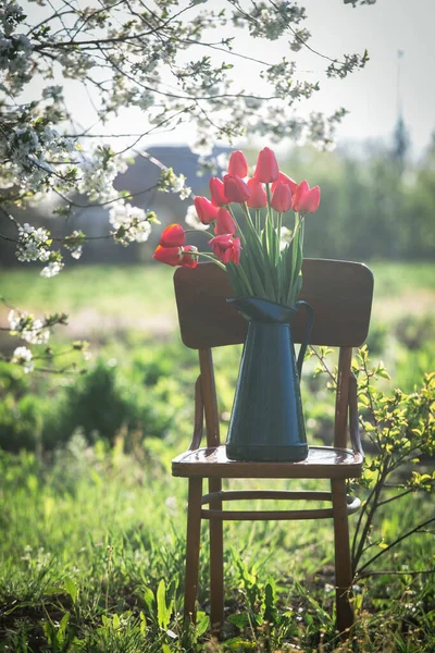 spring garden and steel life. red tulips in a retro jug in the garde