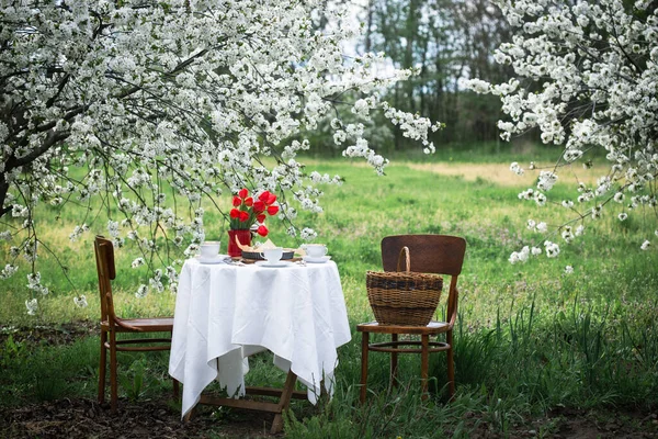 steel life - breakfast in the spring garden. table with white tablecloth served for tea drinkin