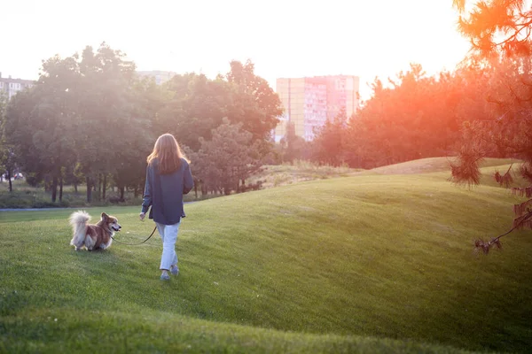 Girl Beautiful Corgi Dog Walking Par — Zdjęcie stockowe