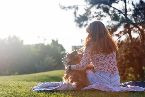 Beautiful Corgi Dog Girl Lawn Par — Φωτογραφία Αρχείου