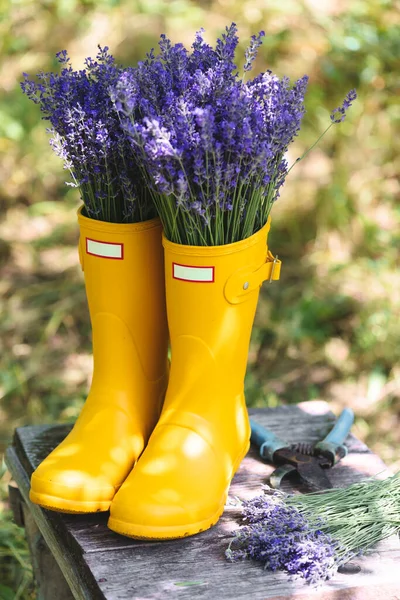 Bouquets Lavender Yellow Rubber Boots Background Garde — Φωτογραφία Αρχείου