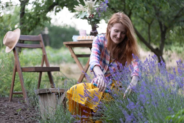 Girl Pruning Lavender Bush Garde — Φωτογραφία Αρχείου