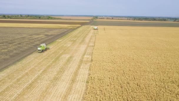 Днипро Украина Сентября 2019 Комбайны Собирающие Кукурузу Полевых Кадрах — стоковое видео