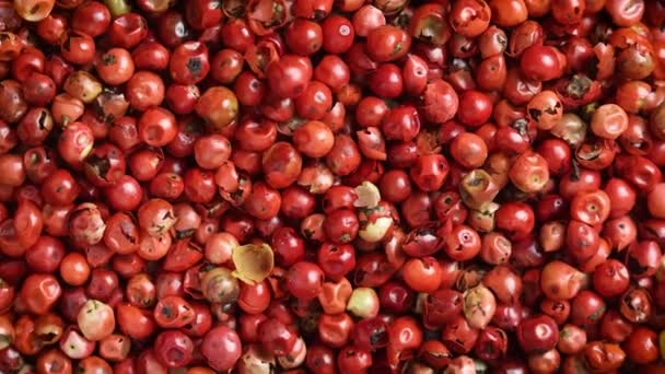 Top View Close Red Peppercorn Rotating Background — Video Stock