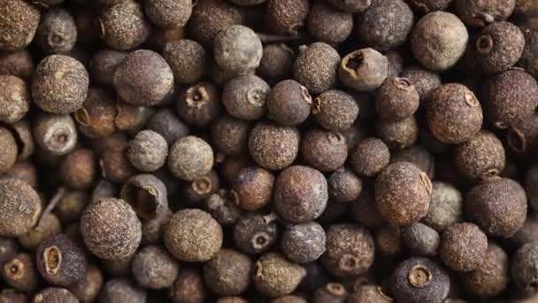 Top View Close Allspice Pimenta Jamaica Peppercorn Rotating Background — Wideo stockowe