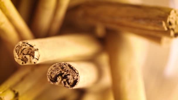 Top View Close Cinnamon Sticks Rotating Background — Stockvideo