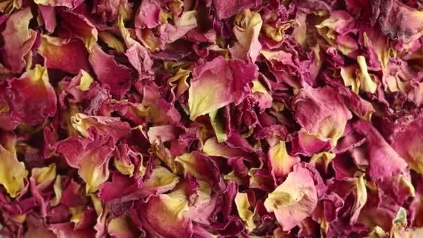 Top View Close Dried Rose Petals Rotating Background — Stock video