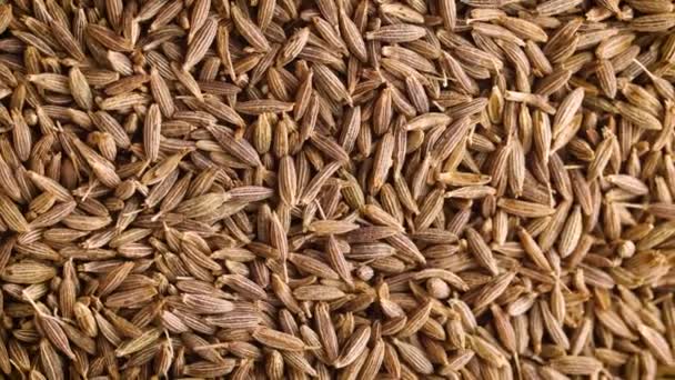 Top View Close Dried Cumin Girah Jira Seeds Rotating Background — Wideo stockowe