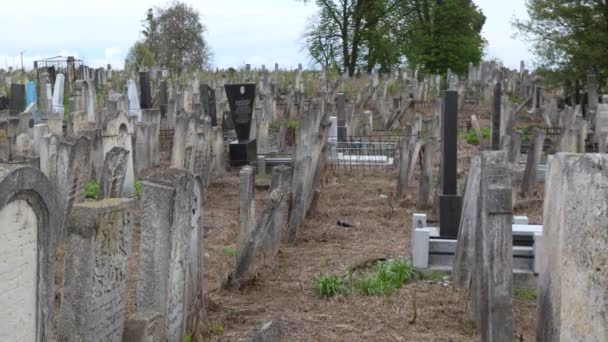 Chernivtsi Ucrania Abril 2022 Vista Las Lápidas Del Antiguo Semeterio — Vídeos de Stock