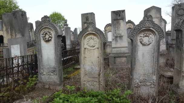 Chernivtsi Ukraine April 2022 View Tombstones Old Jewish Semetery — Stok video