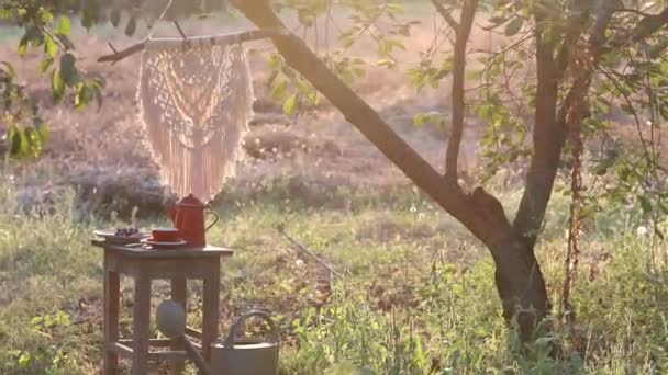 Cup Coffee Dessert Breakfast Tree Sunny Garden — Vídeos de Stock