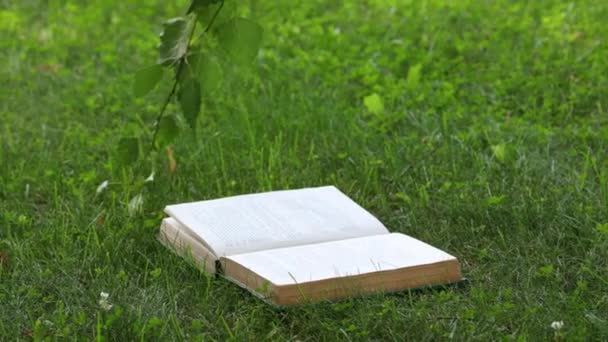 Opened Book Lying Grass Park — Stockvideo