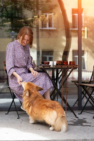 girl with a dog corgi in a cafe on a summer terrace drinking coffe