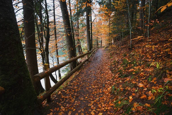 Hermoso Sendero Alrededor Del Lago Hermosas Montañas Paisaje Ucraniano Cárpatos — Foto de Stock