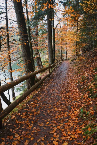 Bellissimo Sentiero Intorno Lago Belle Montagne Paesaggio Ucraino Carpazi Ucraina — Foto Stock