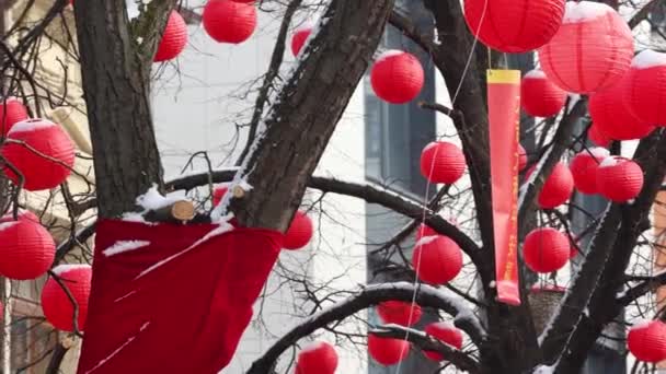 Lampade Della Lanterna Cinese Rossa Tradizionale Coperte Con Neve Vento — Video Stock