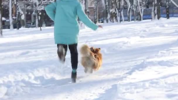 Dospívající Dívka Běží Hraje Corgi Pes Zimní Procházku Slunný Sněžný — Stock video