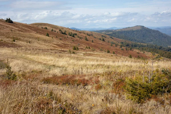 Bela Paisagem Montanha Dos Cárpatos Cárpatos Ucranianos — Fotografia de Stock