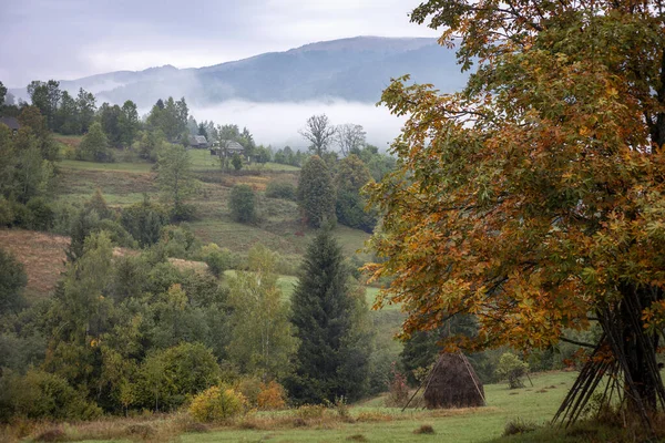 Beautiful Carpathian Mountain Landscape Ukrainian Carpathian — Stock Photo, Image