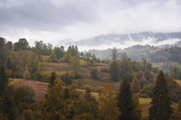 Vackert Karpatiskt Bergslandskap Ukrainska Karpaterna — Stockfoto