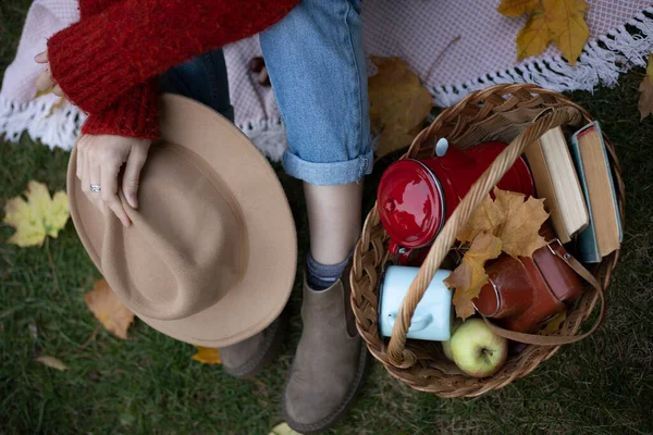 autumn picnic. girl and picnic basket with a cup, apples and books. mood and aesthetic