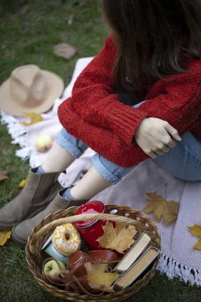 Podzimní Piknik Dívka Piknikový Koš Koblihami Pohárem Jablky Knihami Nálada — Stock fotografie